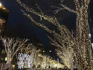 20161226121233.jpg