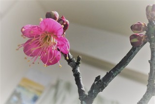 20170107102010.jpg