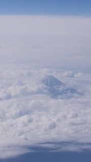 DSC_0183.jpg